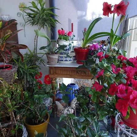 בית הארחה La Maison Des Collines Autour D'hotes 3*