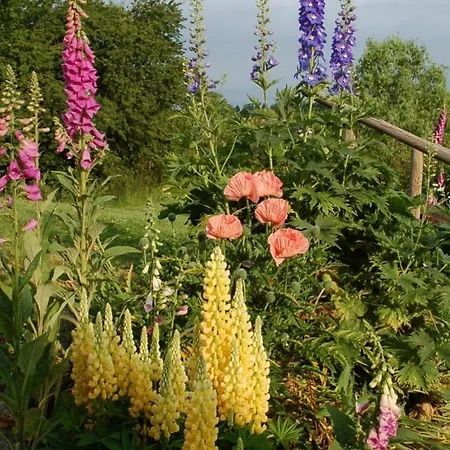 La Maison Des Collines Autour D'hotes Pensionat