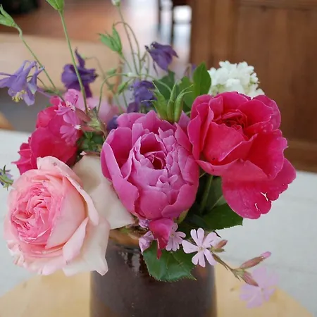 La Maison Des Collines Autour D'hotes 3*